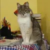 Отзыв от Анна Винокурова